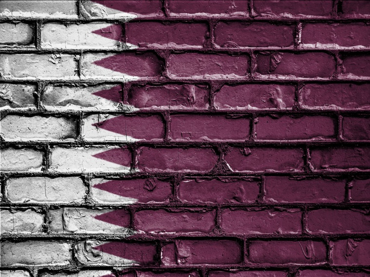 Coupe du Monde au Qatar et droits de l’homme, les ONG s’inquiètent
