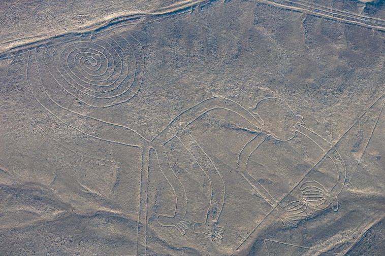 143 nouveaux géoglyphes de Nazca découverts