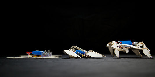 Des robots-origami autonomes