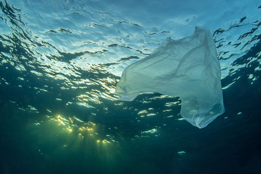 The Ocean Cleanup savoure ses premiers succès