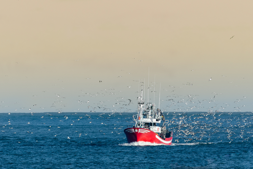 Pêche : les ministres européens se réunissent sur les quotas
