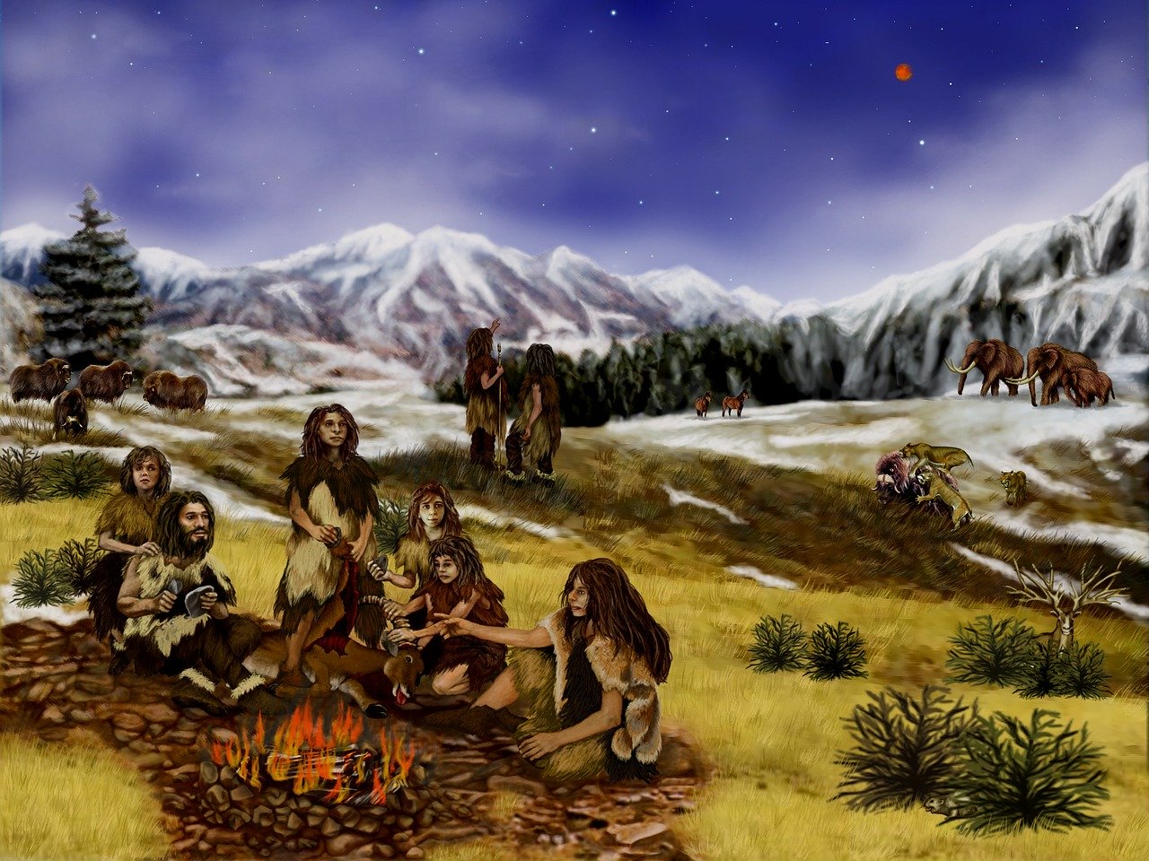   L’Homme de Néandertal aurait disparu même sans l’Homo Sapiens