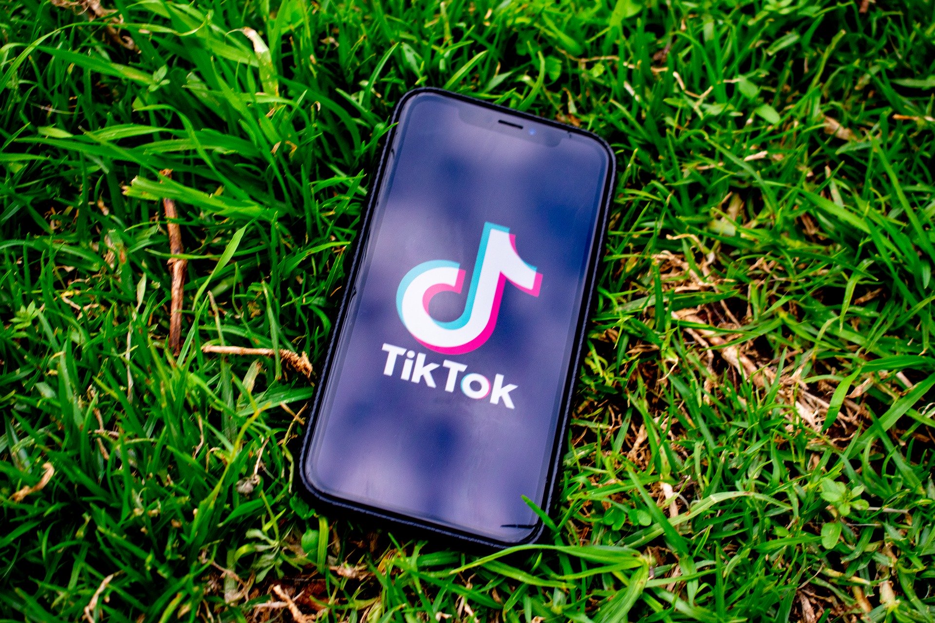 Rachat de TikTok : Twitter entre dans la danse