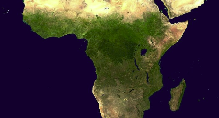 L’OMC a cloturé son premier cours en ligne à destination de pays africains