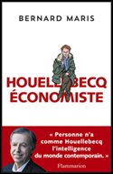 Houellebecq, extension du domaine économique