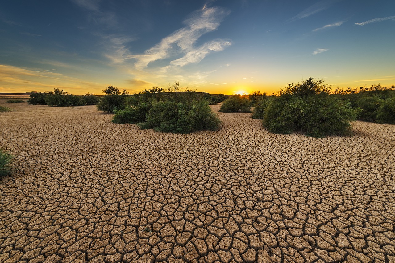 El Niño réapparaît : le mystère du climat ressurgit après sept ans de silence