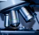 L'Agence de biomédecine veut "booster" le don d'ovocytes