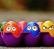 La couleur des coquilles d’œufs dépendrait de la température ambiante