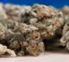 La France lance l’expérimentation du cannabis thérapeutique