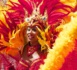 Covid-19 : Le carnaval de Rio 2021 déjà annulé sans date de report