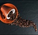 La caféine a un impact sur le cerveau, reste à savoir s’il est positif ou non