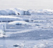 Paris accueille la réunion consultative du Traité sur l’Antarctique