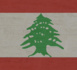​Le Premier ministre libanais ne parvient pas à former gouvernement et abandonne
