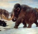 Une étude met en lumière les facteurs de la disparition du mammouth