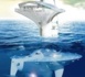 « SeaOrbiter », l’observatoire marin du futur