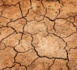 22 départements probablement victimes de la sécheresse d’ici la fin de l’été