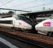 La SNCF critiquée pour sa nouvelle tarification pour les animaux