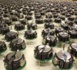 Une parade de 1 000 petits robots
