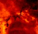 Incendies à Tenerife : 1 800 hectares perdus pour une situation « hors de contrôle »