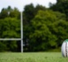 Coupe du Monde de rugby : le dispositif sécuritaire est en place