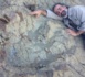 Découverte d’une empreinte d’un dinosaure de douze mètres de haut en Bolivie