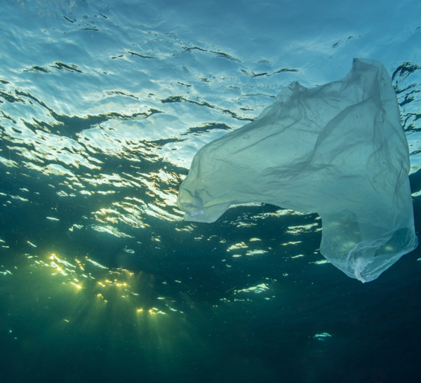 The Ocean Cleanup savoure ses premiers succès