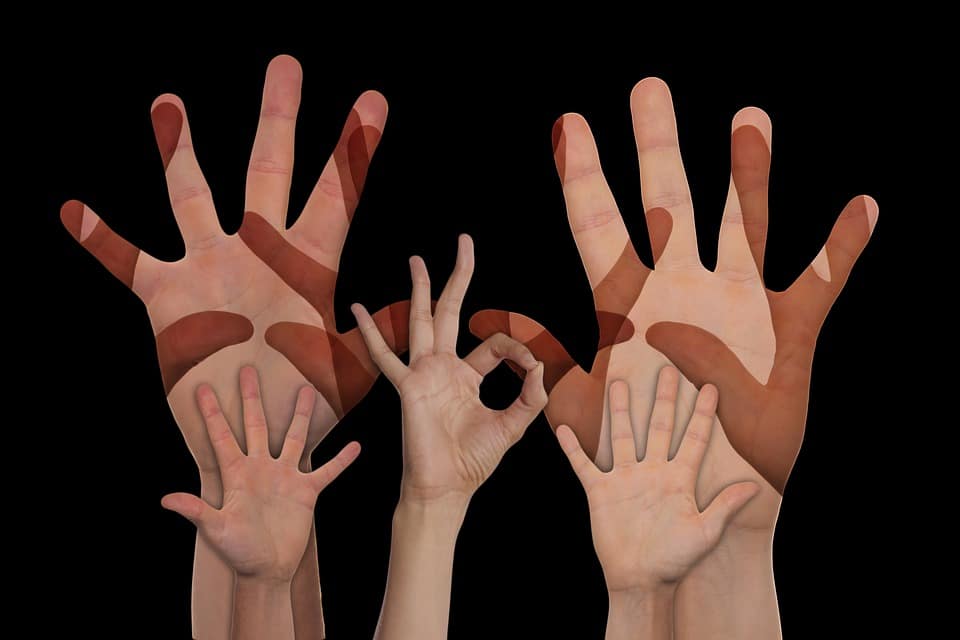 Salariés ou indépendants : une question de métiers ?