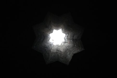 Commémoration Maurras : dix des douze membres du Comité démissionnent