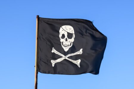Le piratage coute 192 million de dollars par mois à Netflix