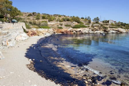 Marée noire au Brésil : « le pire est à venir » pour Bolsonaro