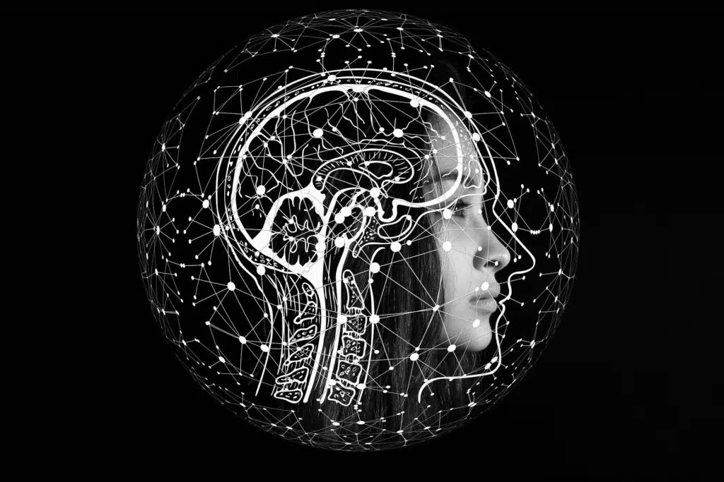 5 exemples qui incarnent l’intelligence collective au quotidien