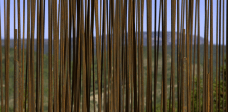 Dans le sport de haut niveau, c’est la préparation mentale qui fait la différence