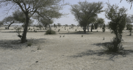 Emmanuel Macron annonce un changement de stratégie militaire au Sahel
