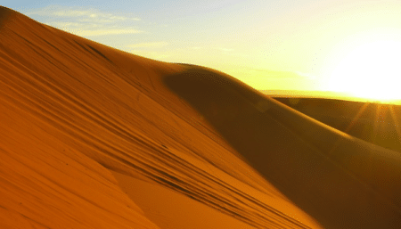 Sahara