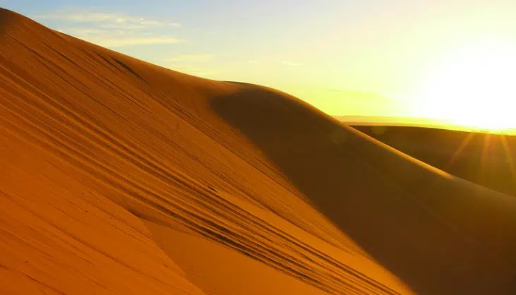 Sahara
