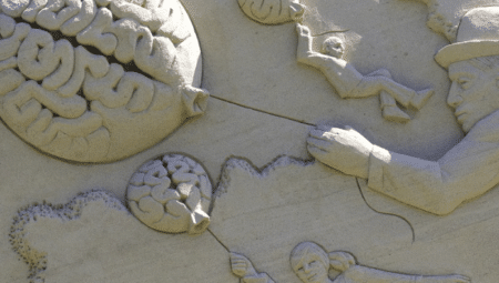 Une équipe allemande affine les connaissances sur les capacités du cerveau selon l’âge