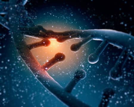 Une forme de vie avec du code génétique alien