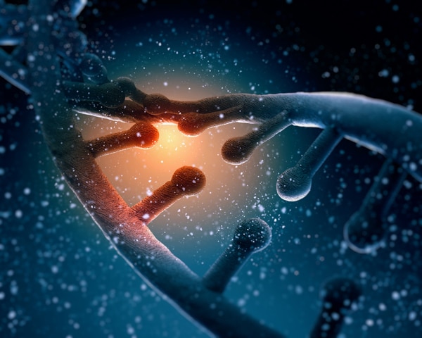 Une forme de vie avec du code génétique alien