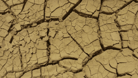 Avec la sécheresse, un lac américain entre le Nevada et l’Arizona révèle ses secrets