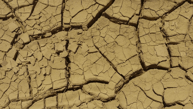 Avec la sécheresse, un lac américain entre le Nevada et l’Arizona révèle ses secrets