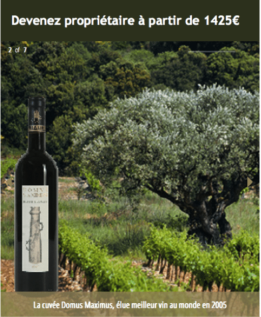 Vins, terroirs et investissement