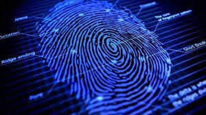 Pub, de quoi ferrer les internautes