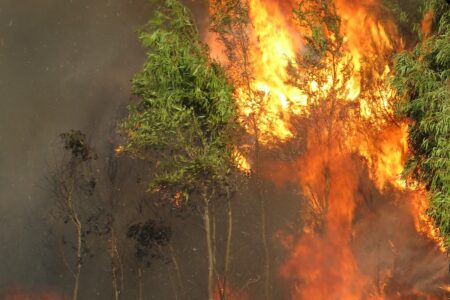 Catastrophes naturelles : une facture de 10 milliards d'euros en France en 2022
