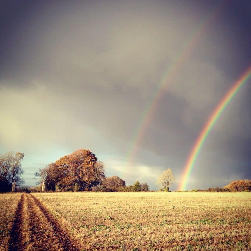 La splendeur des petits riens