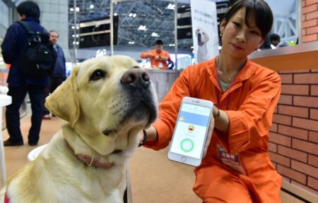 Dans la tête de Médor