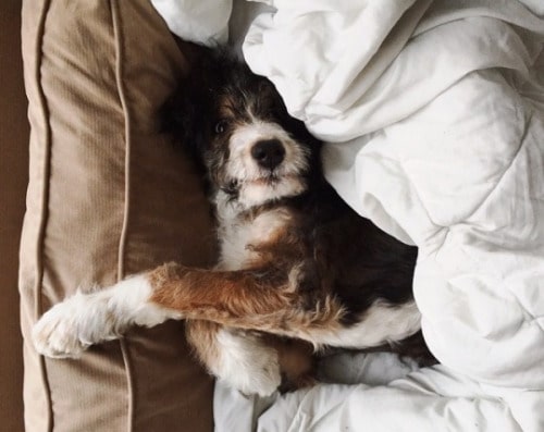 Le bonheur en un clic ?