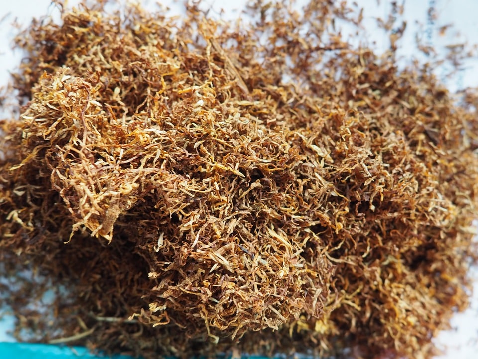 Le tabac à rouler, plus nocif et moins cher, pourrait être plus taxé