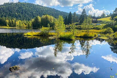 Les Vosges En 10 Etapes Lacs Sommets Et Paysages A Couper Le Souffle