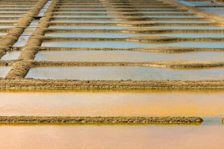 Salins Oleron