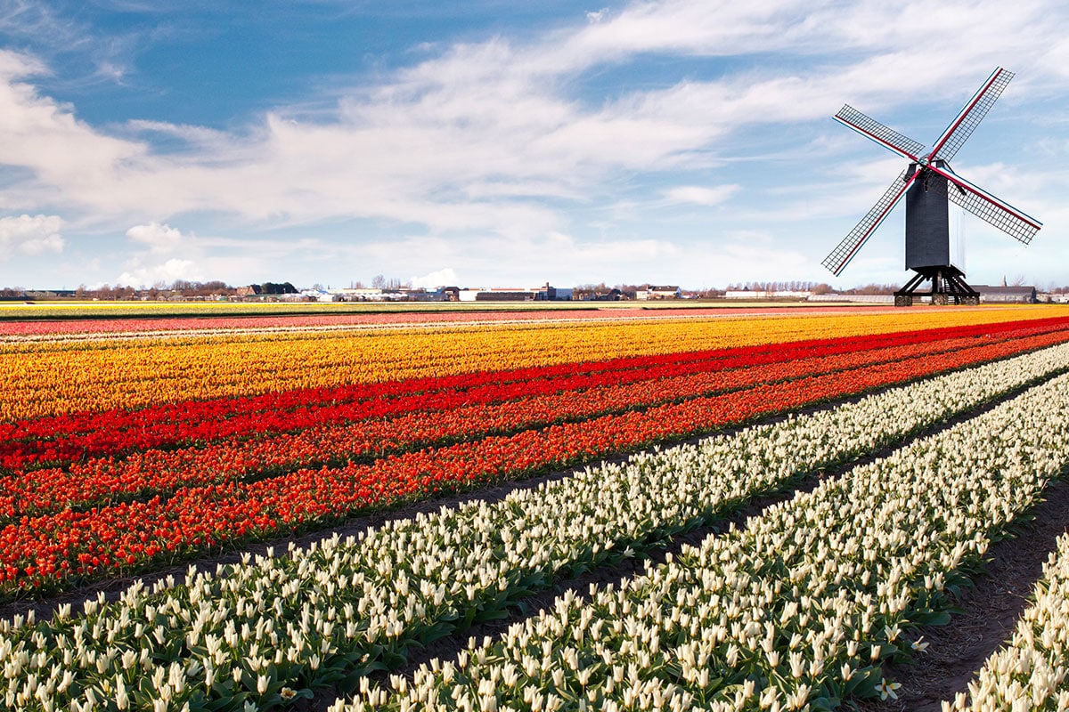 Visitez Les Pays Bas Les Sites A Ne Pas Manquer